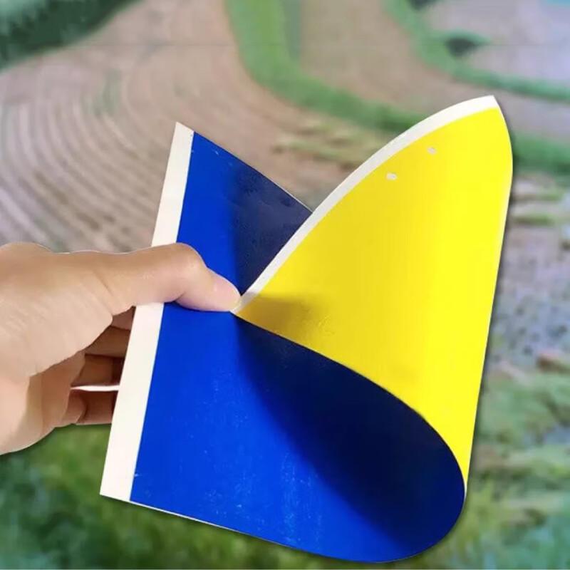 Miaojiayi Dual-Color Sticky Insect Trap Boards