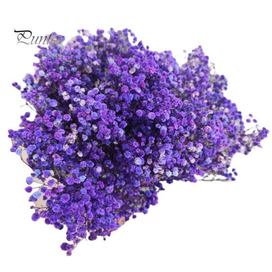 

1 букет гипсофила сушеные цветы свадебный домашний декор DIY цветочная композиция вечное цветение подарок натуральные стабилизированные ветки A темно-фиолетового