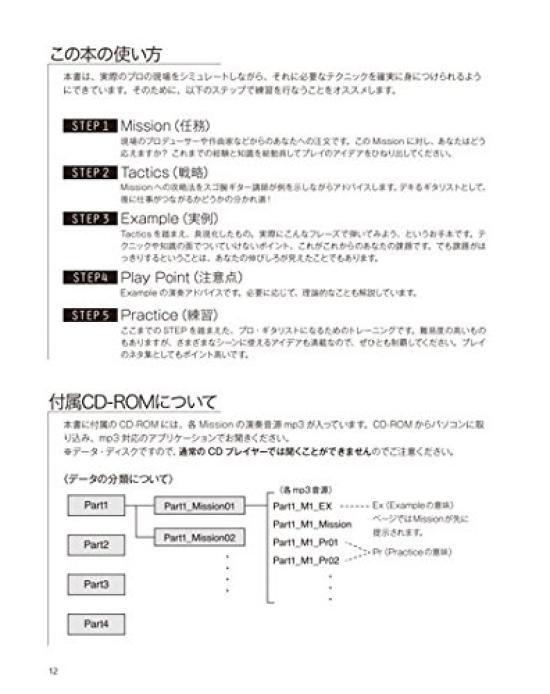 Profesjonalna Szkoła Treningu Gitarzystów Żelazna Wszechstronna Siła (Płyta CD-ROM w zestawie)