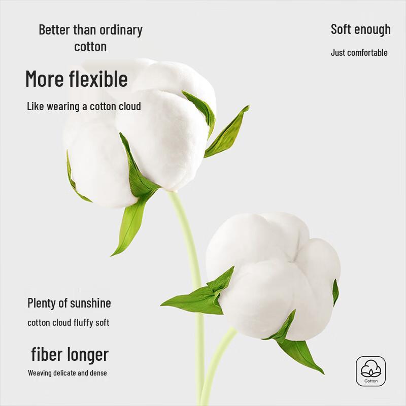 Fenteng Men's Xinjiang Cotton Antibacterial Boxer Briefs 4-Pack