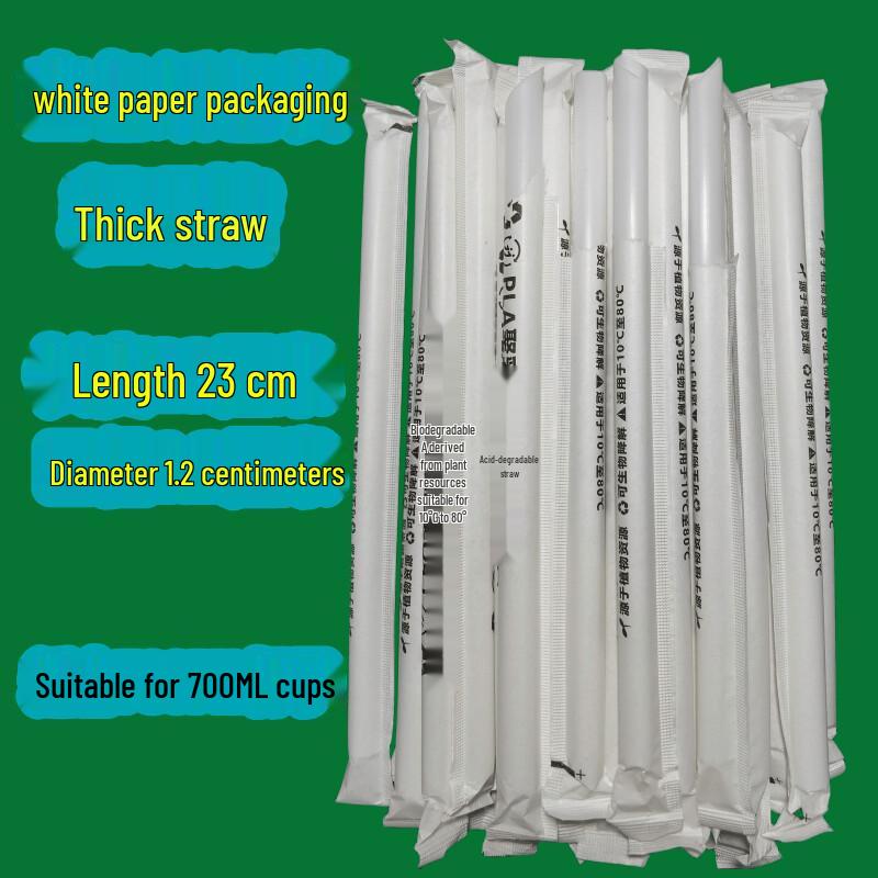 ZISIZ Biodegradable PLA Large Straw