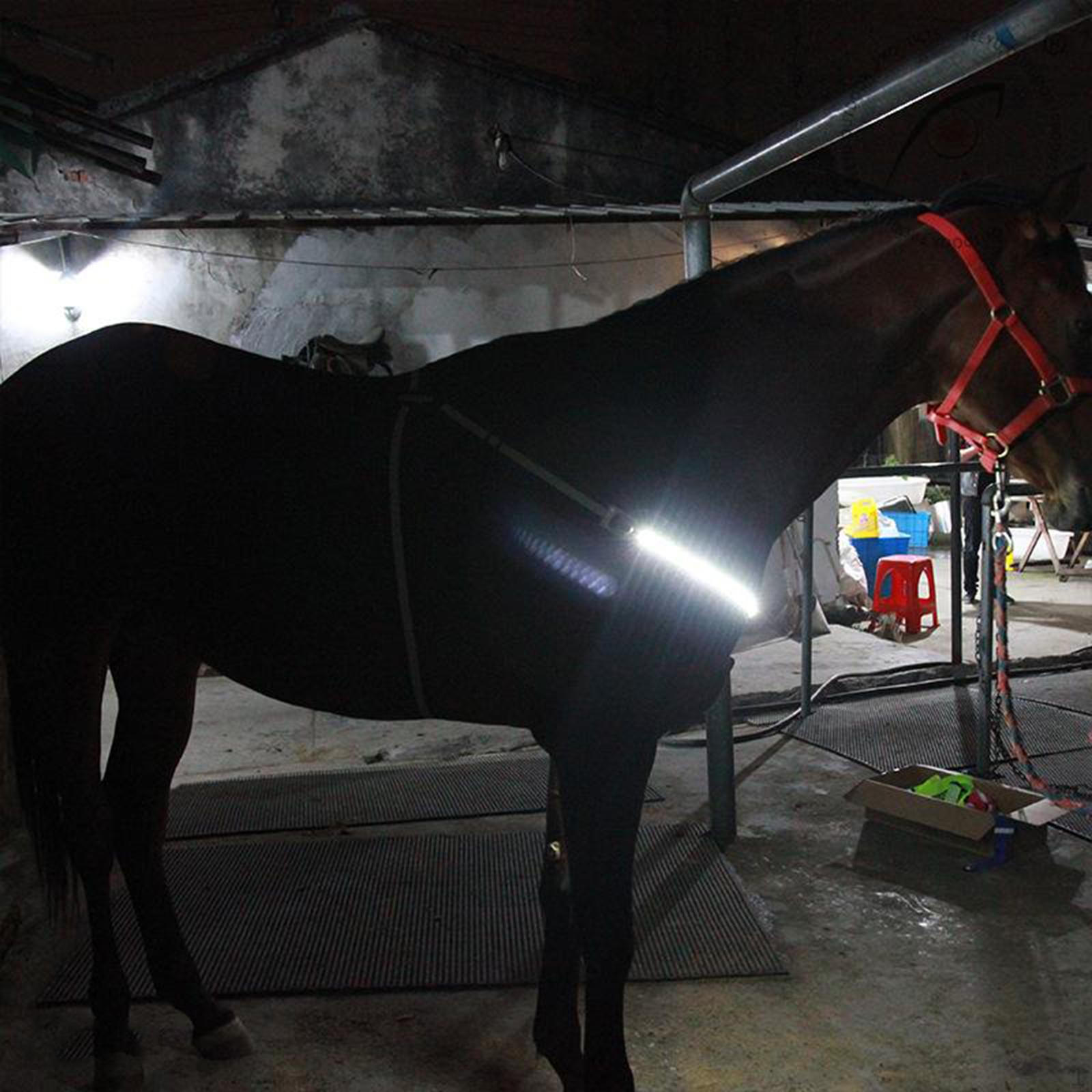 Horse LED Breastplate Halter Head Harness Adjustable Reflective Equestrian Strap