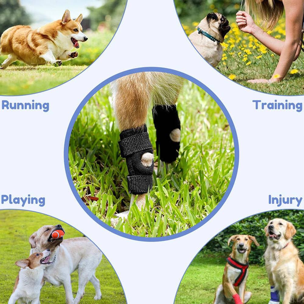 Dog Knee Pads Injury Recovery Support Brace Pet Protector Pain Relief Leg Joint Wrap Breathable Cover Bandage for Foot Health