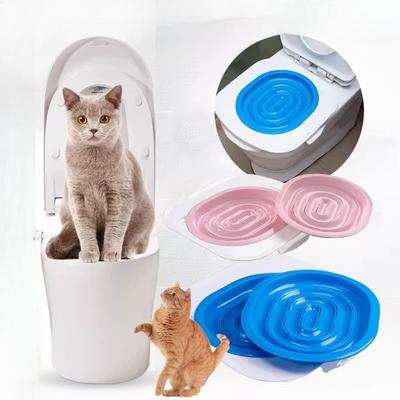 Kedi – Kedi Eğitim Aparatları