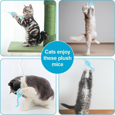 Kedi – Kedi Oyuncakları
