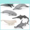 Realistic Miniature Dolphin Devil Ray Beluga Whale Shark Model Ocean Animal Toy Collection