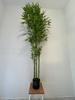 Artificial Bamboo Plant Xxl In A Realistic Pot 180Cm For Home Office