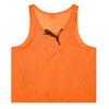 Puma Bib Team Vest