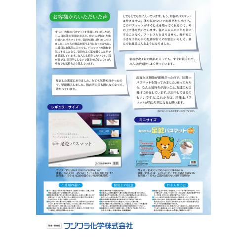 Fujiwara Chemical Diatomaceous Earth Mat, New Foot Drying Bath Mat, W550 X D430 X Thickness 9mm