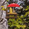 Yousheng Squirrel Feeder with Umbrella, Squirrel Feeders for Outside, Squirrel Picnic Table Feeder, Chipmunk Feeder Hold Corn, Corn Cob, Peanut