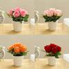 Exquisite Rose Flower Freshing House Plant Natural Potted