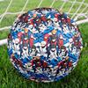 BlueLock Thema Größe 5 Fußball, Geeignet für Indoor- und Outdoor-Spiele, Ein Geschenk für Jeden geeignet.