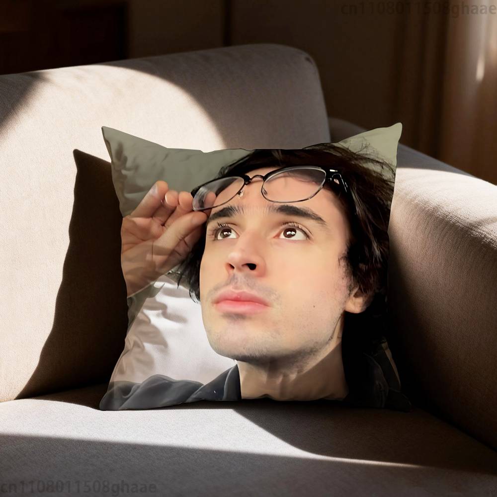 Will Wood pillowcase casual style decoration suitable for home decoration excluding pillow core