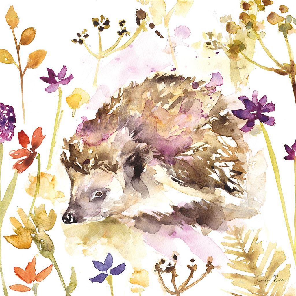 Jennifer Rose Hedgehog Canvas Print