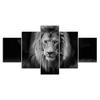 Lion Wild Animal Black and White Scene 5 Piece Five Panel Wall Canvas Print Modern Art Poster Picture Home Decor Gift For Him For Her