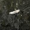 Brushed Smiley Face Ring Trendy Temperament Unique Feeling Smiling Index Finger Opening Index Finger Ring Bright Silver Ring