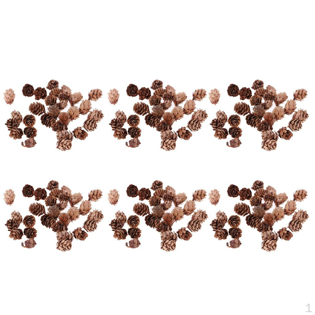 180Pcs natural Small Cones In