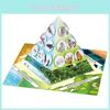 Paper Food Chain Pyramid Model Assembly Material Set Puzzle Toys For Children Educational Biology Set
