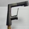 Hibiscus Design Pull-Out Basin Faucet