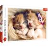 37271 "500" - Gattini che dormono