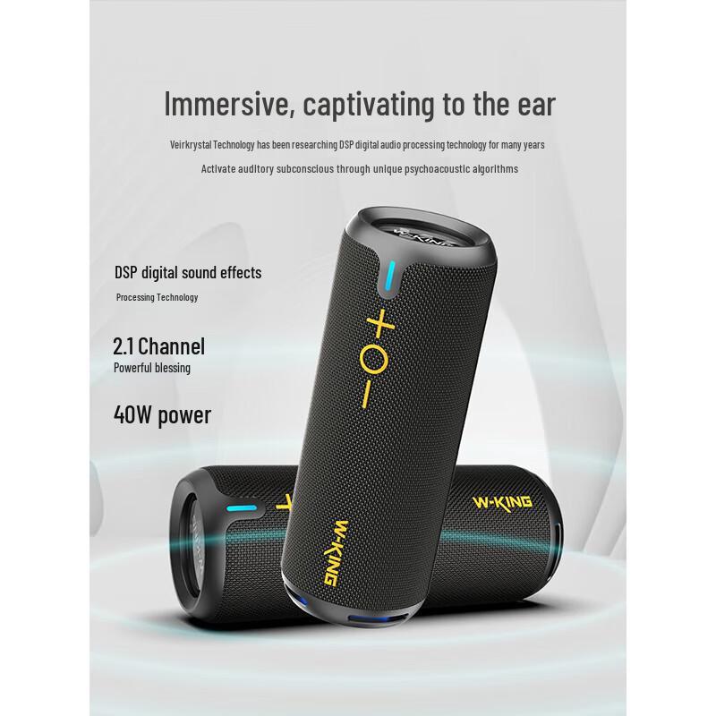 W-King D320 Outdoor Portable Bluetooth Speaker CN Plug (adapter Included)