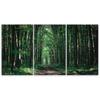 Three Piece Picture Canvas Print Forest Green Nature