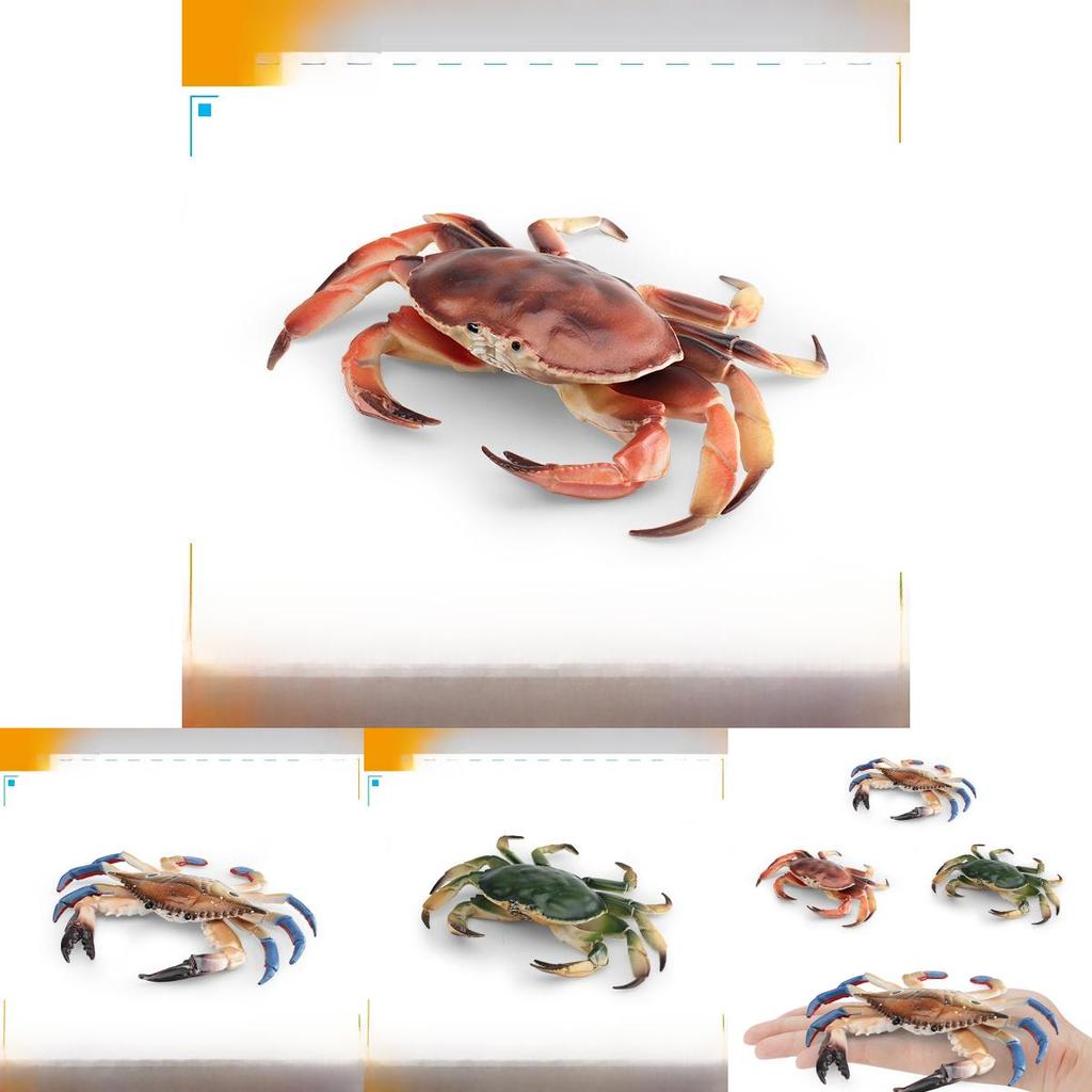 Marine Life Crab Replica For Kids Learning Aquarium Decoration Pvc Collectible