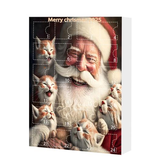 

Кошачий Адвент-календарь 24 дня Рождественский Кошачий Календарь Обратного Отсчета с 24 шт. 2D Акриловыми Кошачьими Подвесками для Любителей Кошек A