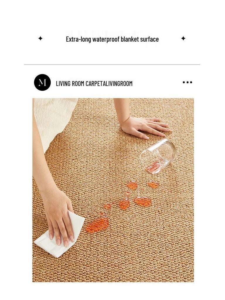 Faux Sisal Entrance Door Mat: Wear-Resistant, Cat-Scratch Proof, Wash-Free, Mixed Color Floor Mat for Living Room or Bedroom