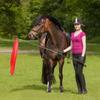 10Pcs Equestrian Training Flags Equestrian Training Equipment