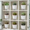 Self-Watering Flowerpot Self-absorbent Cotton Rope Flowerpot Transparent Double Layer Planter Flowerpot for Office Table Decor