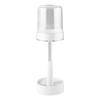 Adjustable Electric Toothbrush and Rinse Cup Set for Dorms and Homes