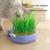 Gatti – Distributori di cibo e acqua per gatti