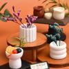 5pcs Dollhouse Miniature Vase Plant Potted Model Dollhouse Home Decor Toy Micro Landscape Scenery Photo Props