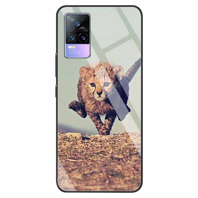 For VivoV21 5G Tempered Glass Case for Vivo V21 5G Soft Bumper Hard Funda For Vivo X60 Pro Global Phone Case X60 5G 2021 Cover