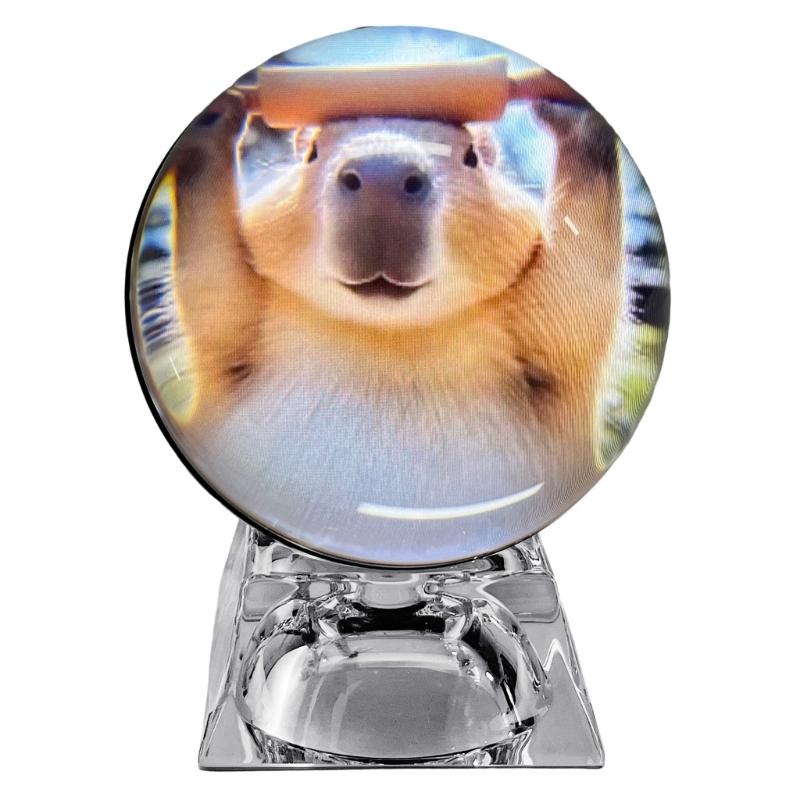 Speicher Kugel Kristallkugel Videoplayer Digitaler Speicheranzeige Hochladen Video Foto Geschenk für Geburtstag Weihnachtsgeschenk