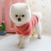 Pet Dog Plush Coat Fleece Winter Warm Pullovers With Daisy Flower