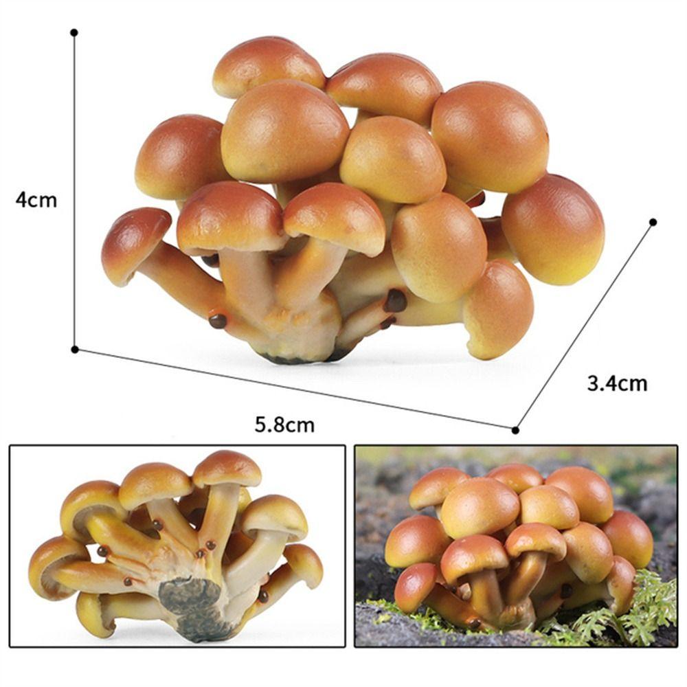 Vegetable Model Simulation Mushroom Landscape Miniatures Fungus Model Home Decoration
