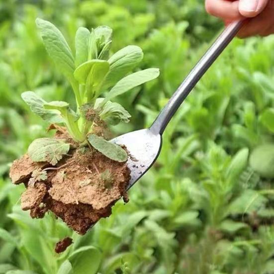 Garden Small Hand Shovel with Non-Slip Ergonomic Handle T-Shaped Design Gardening Trowel Weed Remover Tool