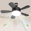 Ceiling Fan Tatami Mat E26 LED Fan with 5 DC Quiet Color Temperature Easy No Construction Air Heat Square Hook Socket Switch Memory Energy-Saving &
