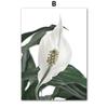 Tropické rostliny Palmové listy Bílý květ Nástěnná malbaPlátno Severské plakáty a obrazy Nástěnné obrazy pro výzdobu obývacího pokoje