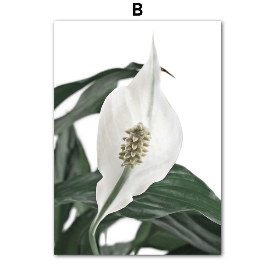 Tropické rostliny Palmové listy Bílý květ Nástěnná malbaPlátno Severské plakáty a obrazy Nástěnné obrazy pro výzdobu obývacího pokoje