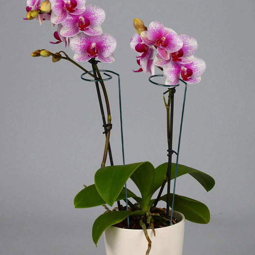 10PCS Iron Plant Support Deformable Plant Scaffold for Garden Plants Accessorie Greenhouses Arrangement Fixing Rod Holder