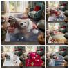 House Entrance Carpet Home Door Mat Living Room Bath Foot Bathroom Non-slip Water Absorption Rugs Bath Merry Christmas Winter
