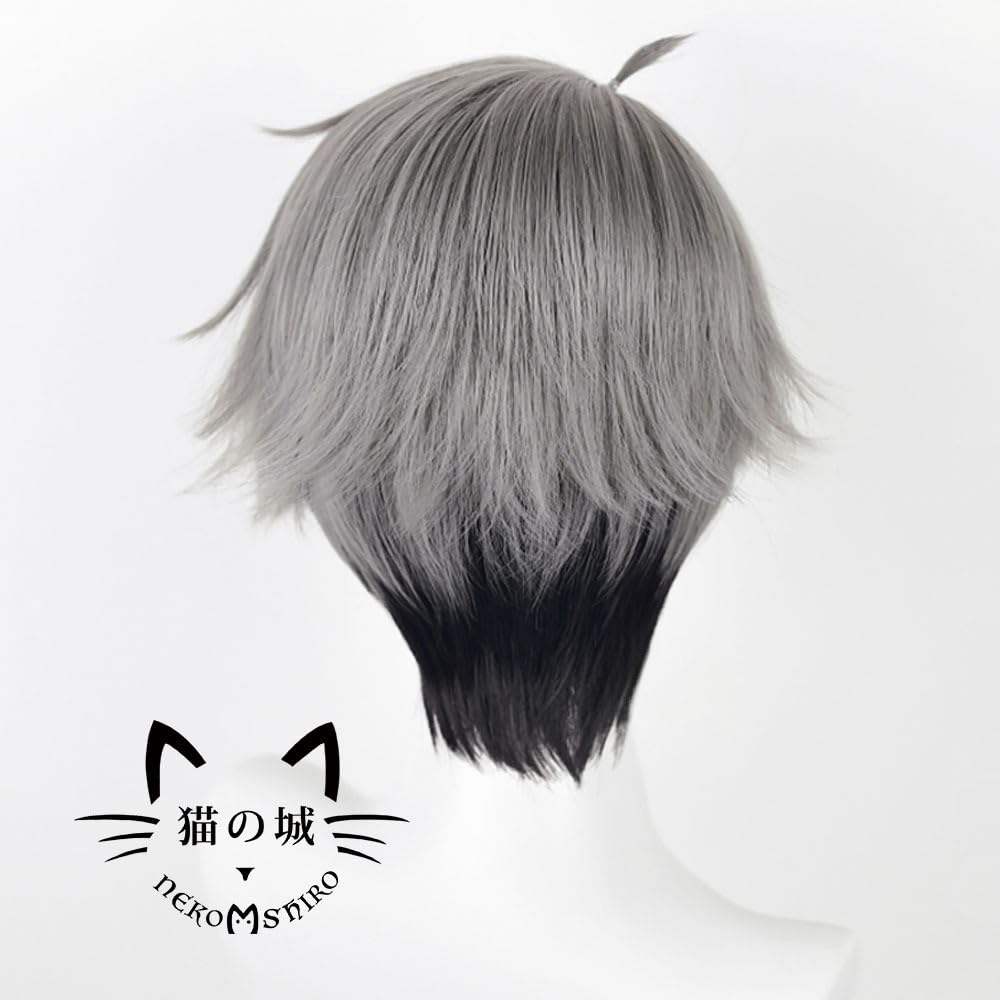 Miya Osamu von Neko no Shiro (Katzenburg) Cosplay-Perücke, Hitzebeständig, Anime-Kostümzubehör, Perfekt für Partys und Veranstaltungen, Inklusive Perückennetz