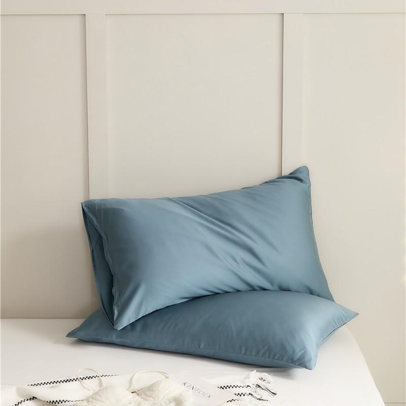 Leisel Tencel Pillowcase Single Pack - Single Pillowcase Solid Color Pillowcase Bedding Pillow Core Kit