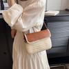 Straw Fabric Crossbody Bags for Women New Summer Shoulder Bag Small Bags Designer Ladies Travel Messenger Bags Fashion