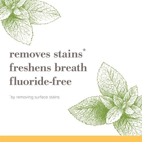 Burt's Bees Toothpaste, Fluoride Free, Purely White, Zen Peppermint, 4.7oz, 3-Pack