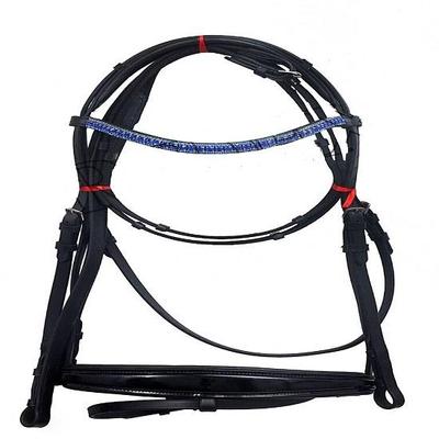 Sport en entertainment – Paardensport