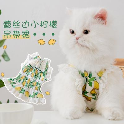 Vestido de limón fresco con borde de encaje para gato de primavera y verano, vestido de gato cachorro, títere de gato, mascota gato, falda, ropa de perro